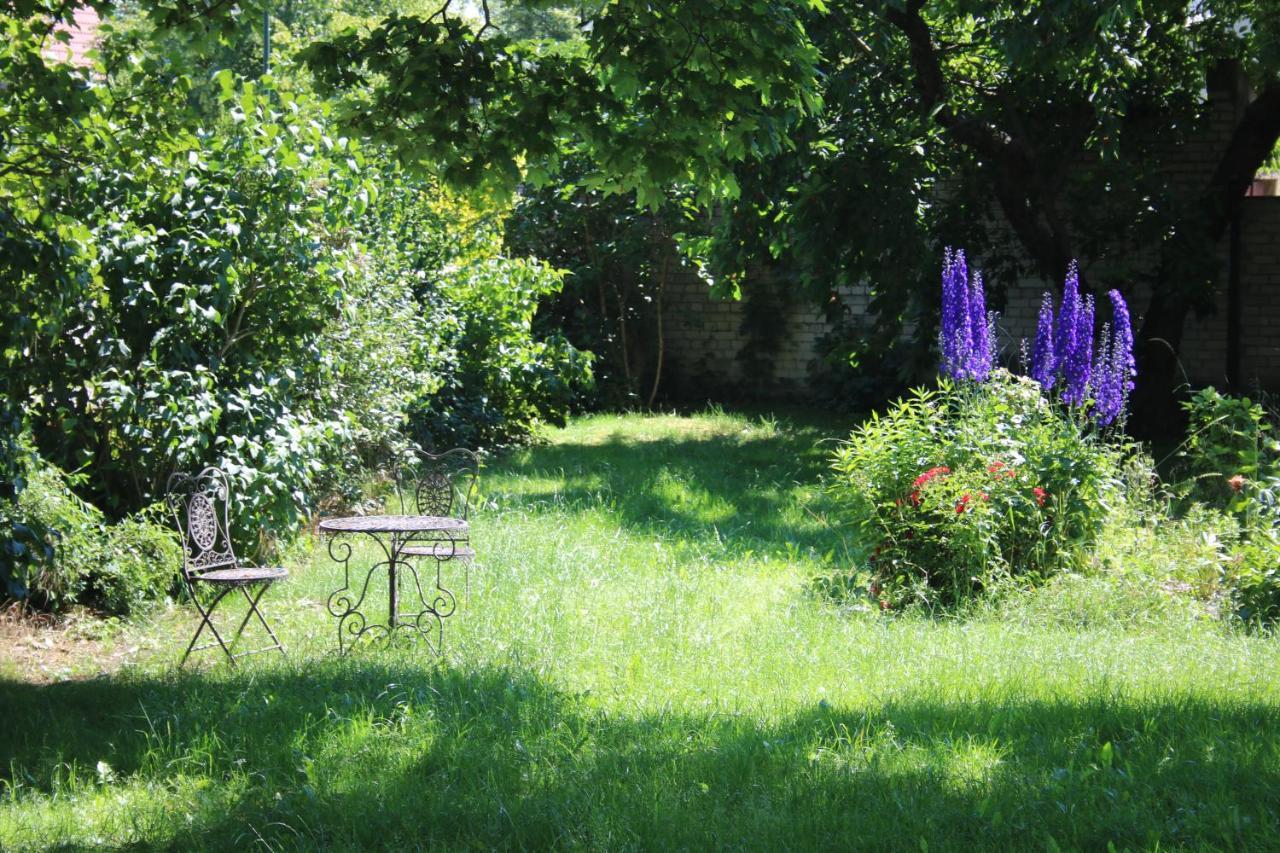 Ferienwohnung Am Weltnaturerbe Grumsin Ziehten Exteriör bild