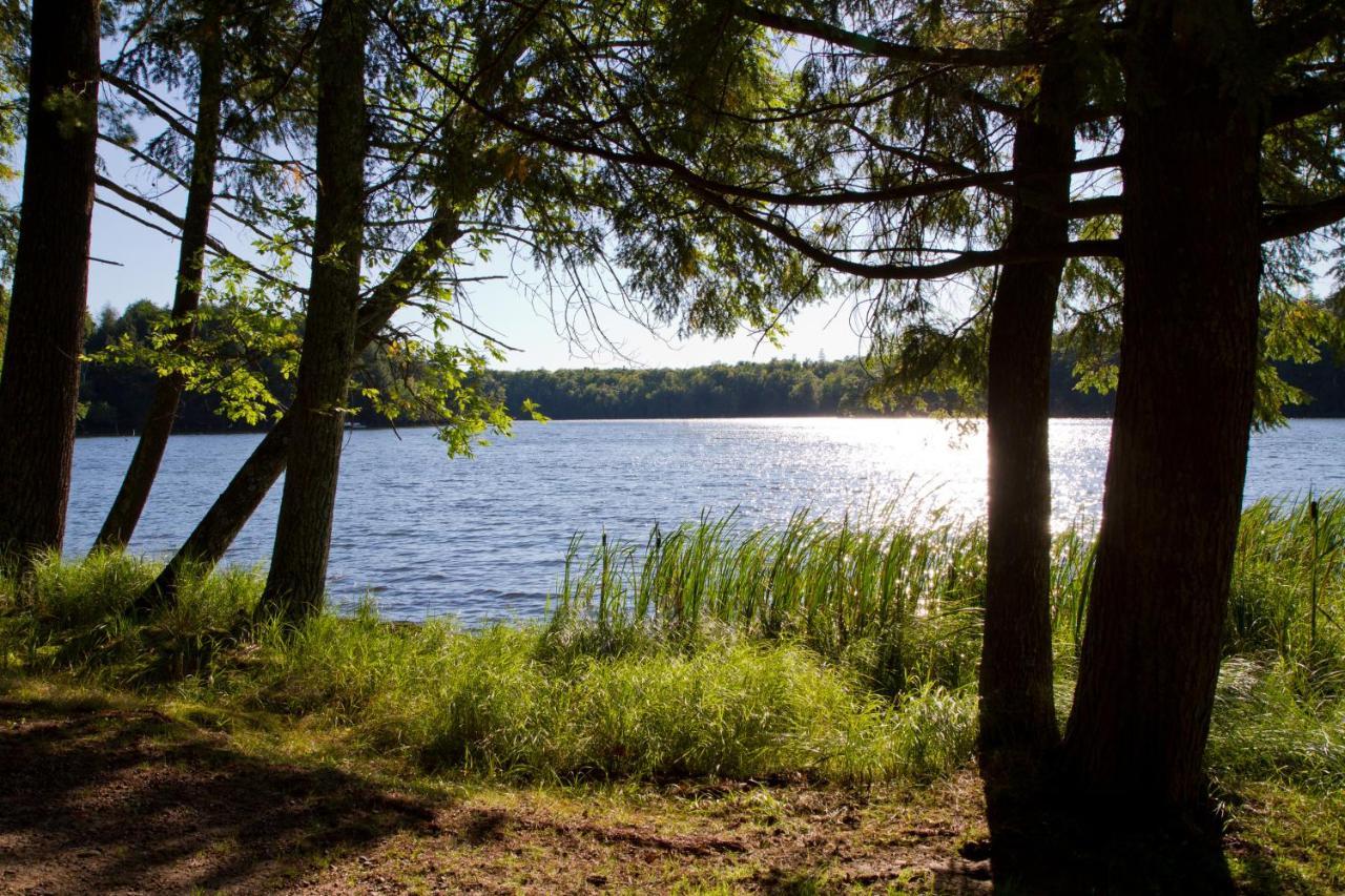 Ferienwohnung Am Weltnaturerbe Grumsin Ziehten Exteriör bild
