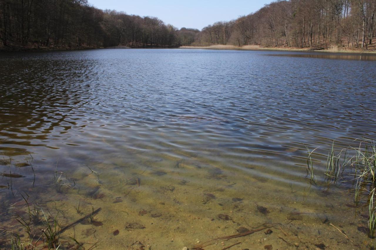 Ferienwohnung Am Weltnaturerbe Grumsin Ziehten Exteriör bild